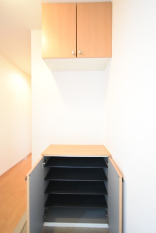 物件内観写真27　(シューズボックス)