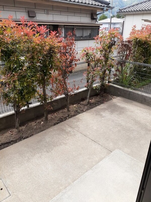庭