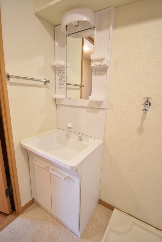 物件内観写真13　(シャンプードレッサー)