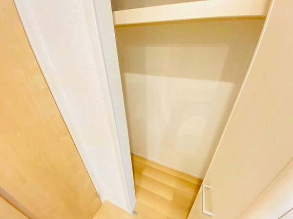 収納(別部屋反転写真です)