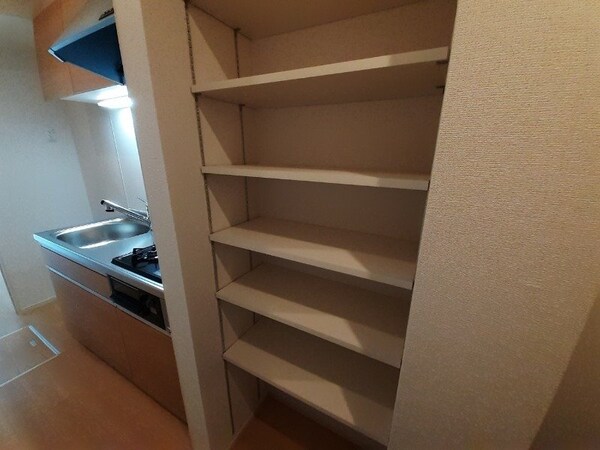 収納(同物件別室写真)