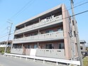 ダイヤモンド・シャワー