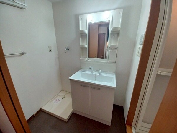 洗面所(同物件別部屋タイプ)