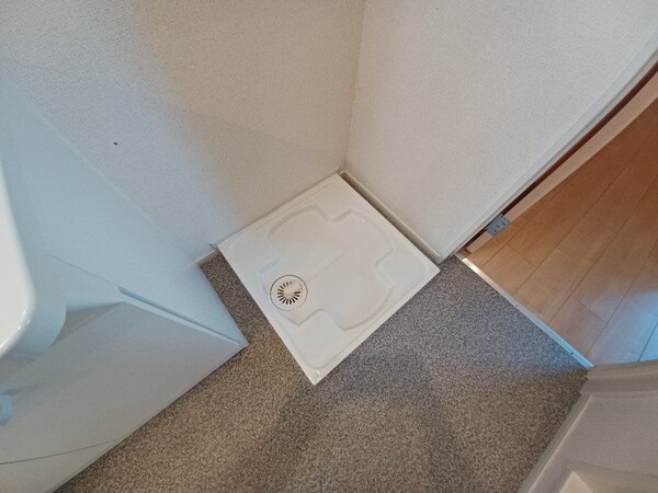 その他(反転タイプの画像です)