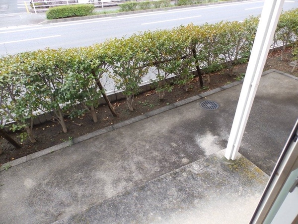 庭