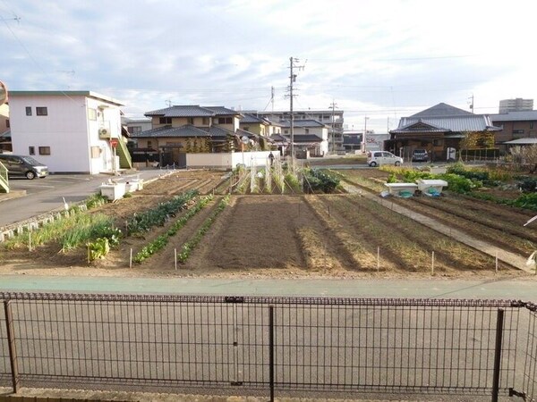 眺望(同型参考写真)