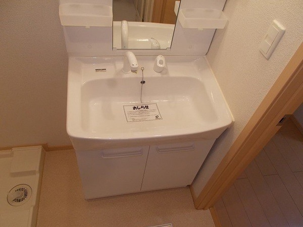 洗面所(同型タイプの写真です。)