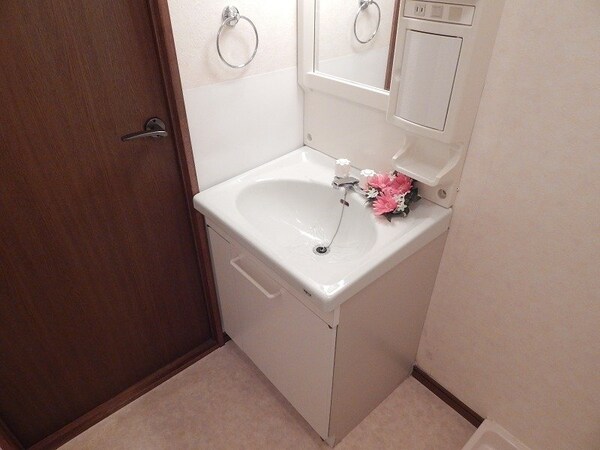 洗面所(別部屋同タイプ)