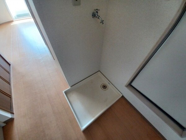 同型反転写真です。
