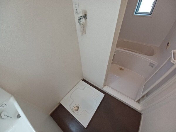 その他(同型反転写真)