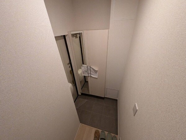 玄関(同型タイプのものです)