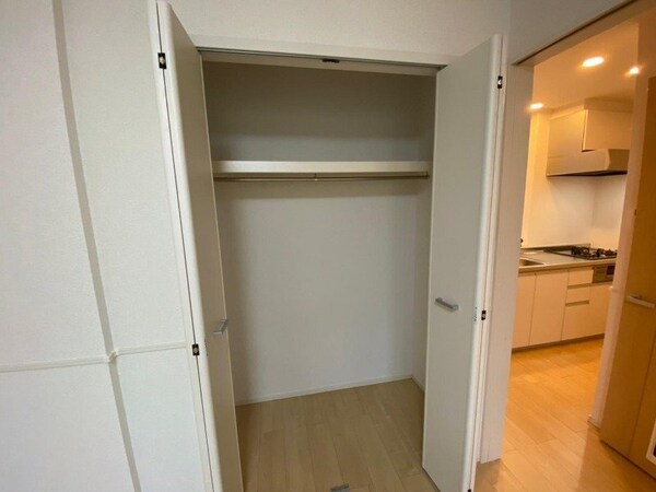 収納(同建物の別部屋写真です)