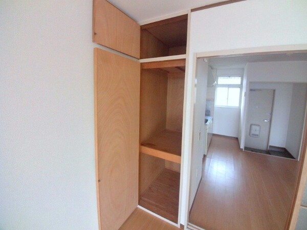 収納(同建物の別部屋写真です)