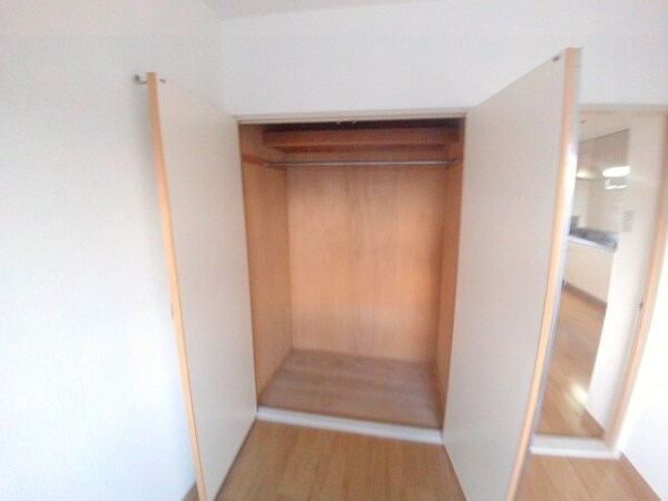 収納(同建物の別部屋写真です)