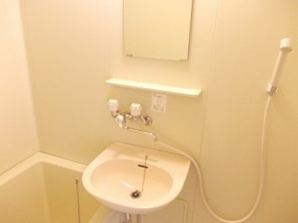 洗面所(同タイプ部屋写真です。)