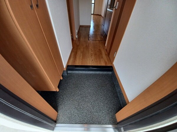 玄関(反転タイプ参考写真)