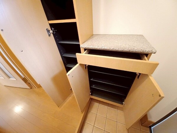 収納(同物件別部屋の写真)