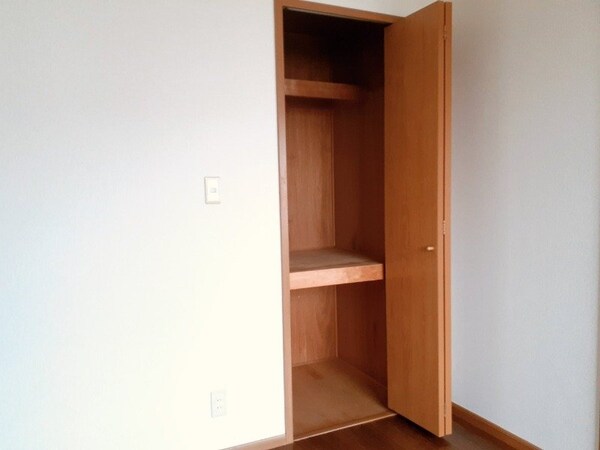 収納(同タイプの部屋写真です)