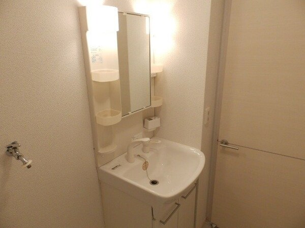 洗面所(同物件別部屋タイプ)