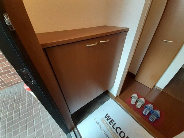 玄関(同物件別部屋写真)