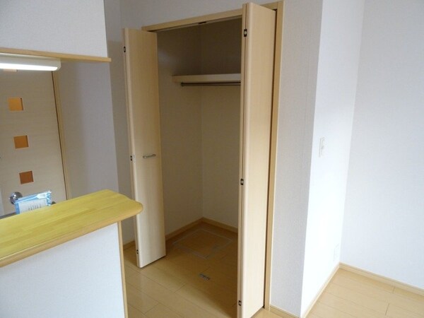 収納(別部屋反転写真です)