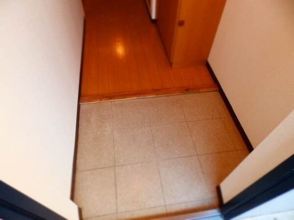 玄関(別部屋同型タイプ写真です。)