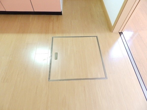 その他(同型タイプの画像です)