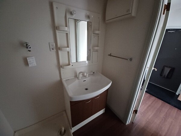 洗面所(同タイプ部屋写真です。)