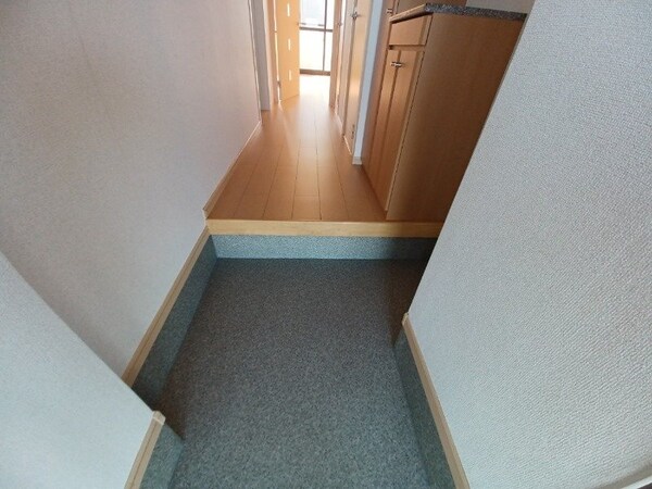 玄関(同型タイプの写真です。)