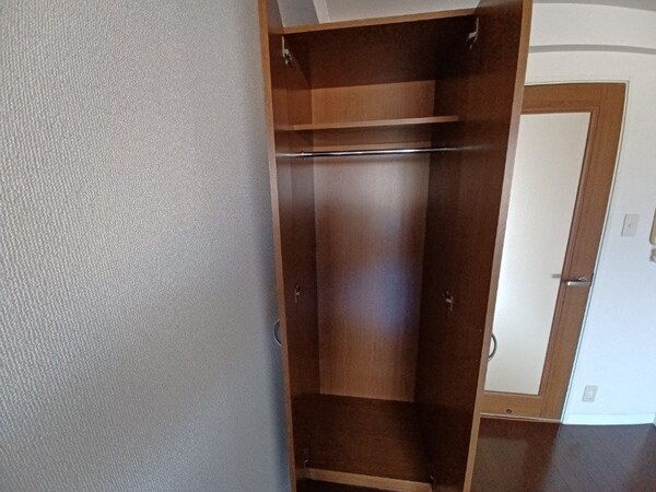 収納(同物件の別部屋写真です。)