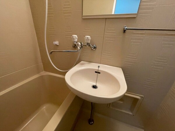 洗面所(同型反転タイプのお写真です)