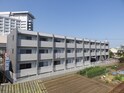 サクラーレ
