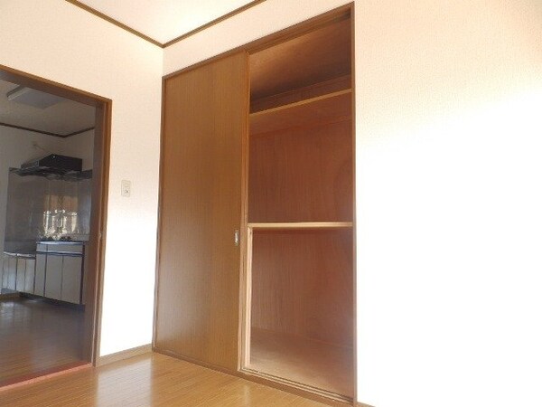 収納(同建物の別部屋写真です)