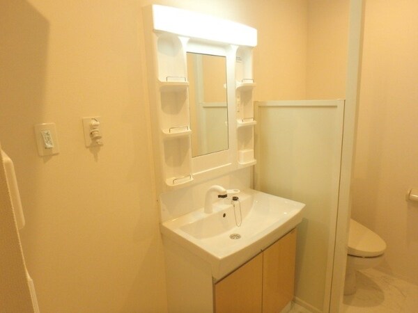洗面所(同タイプの部屋写真です)