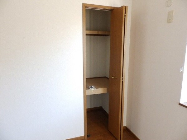 収納(同建物の別部屋反転写真です)