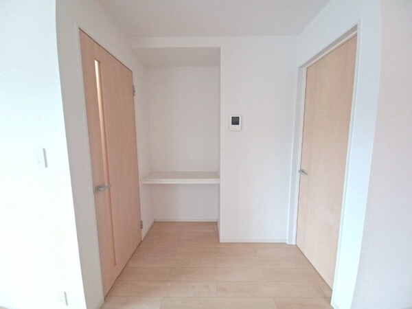 その他(同型反転写真)