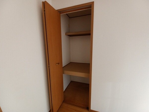 収納(同物件別部屋写真)