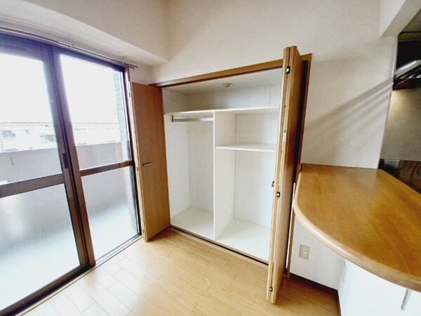 収納(同じ物件、別部屋の写真です)