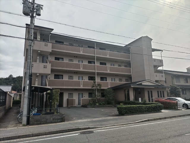 アピアランス優貴