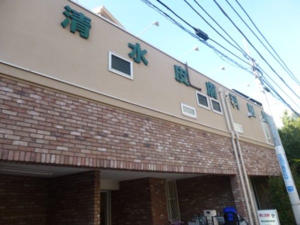 周辺環境(清水皮膚科医院 220m)