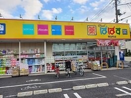 物件外観写真3　(どらっぐぱぱすまで300m)