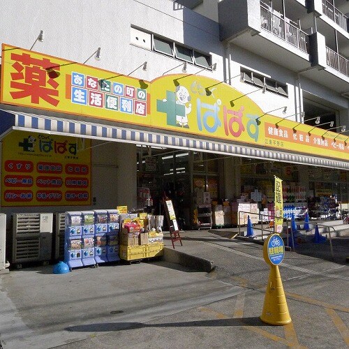 物件外観写真8　(どらっぐぱぱす江東平野店 310m)