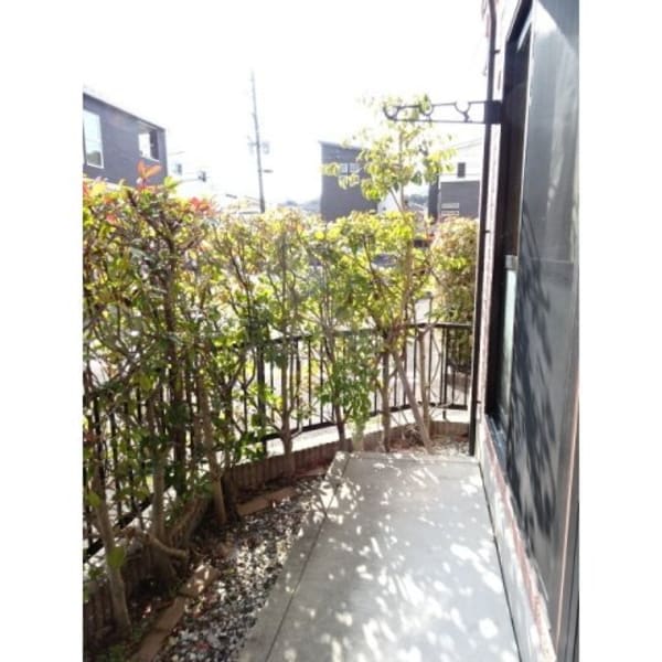 庭