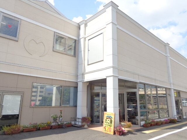 物件外観写真5　(明治屋ジャンボ市太宰府店まで1,016ｍ)