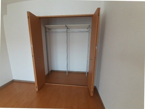 収納(反転タイプ、別の部屋の写真です。)
