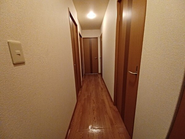 玄関(同物件別室写真)