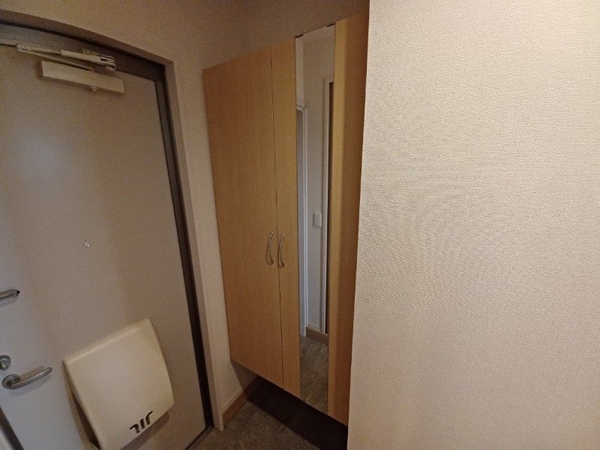 その他(同型参考写真)