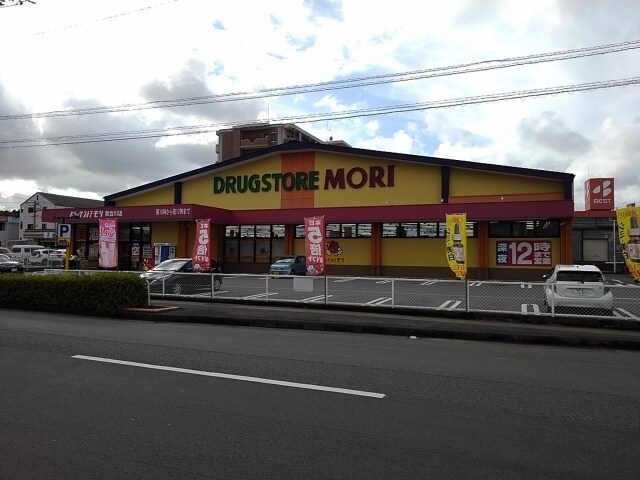 物件内観写真17　(ドラッグストアモリ東合川店まで850m)