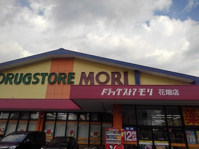 物件内観写真17　(ドラッグモリ花畑店まで1410m)