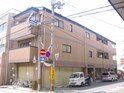 プランドールスギタ